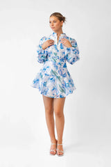 Hazel Blue Print Mini Dress With Long Sleeves