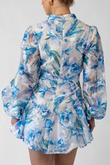 Hazel Blue Print Mini Dress With Long Sleeves